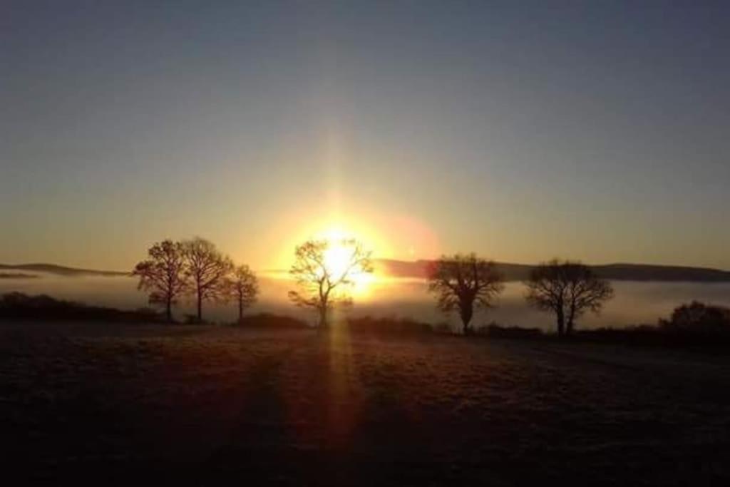 Perfect Cottage Retreat Near The Brecon Beacons Llanwrda ภายนอก รูปภาพ